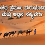 Major Deserts : ಪ್ರಪಂಚದ ಪ್ರಮುಖ ಮರುಭೂಮಿಗಳು ಮತ್ತು ಅಲ್ಲಿನ ಸಸ್ಯವರ್ಗ