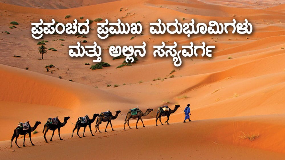 Major Deserts : ಪ್ರಪಂಚದ ಪ್ರಮುಖ ಮರುಭೂಮಿಗಳು ಮತ್ತು ಅಲ್ಲಿನ ಸಸ್ಯವರ್ಗ