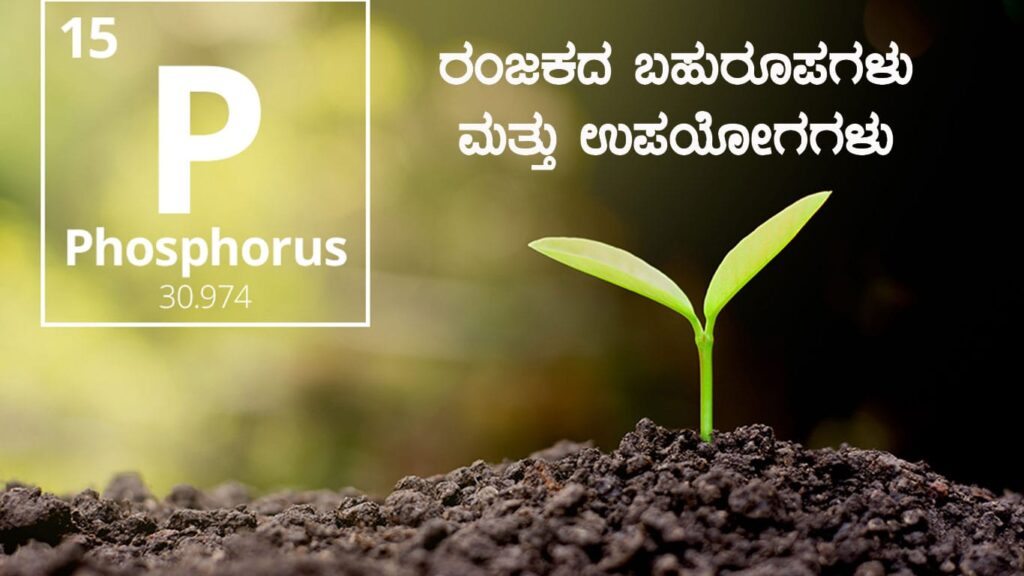 ರಂಜಕ(Phosphorus)ದ ಬಹುರೂಪಗಳು ಮತ್ತು ಉಪಯೋಗಗಳು