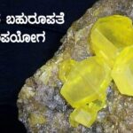 ಗಂಧಕದ ಬಹುರೂಪತೆ ಮತ್ತು ಉಪಯೋಗ