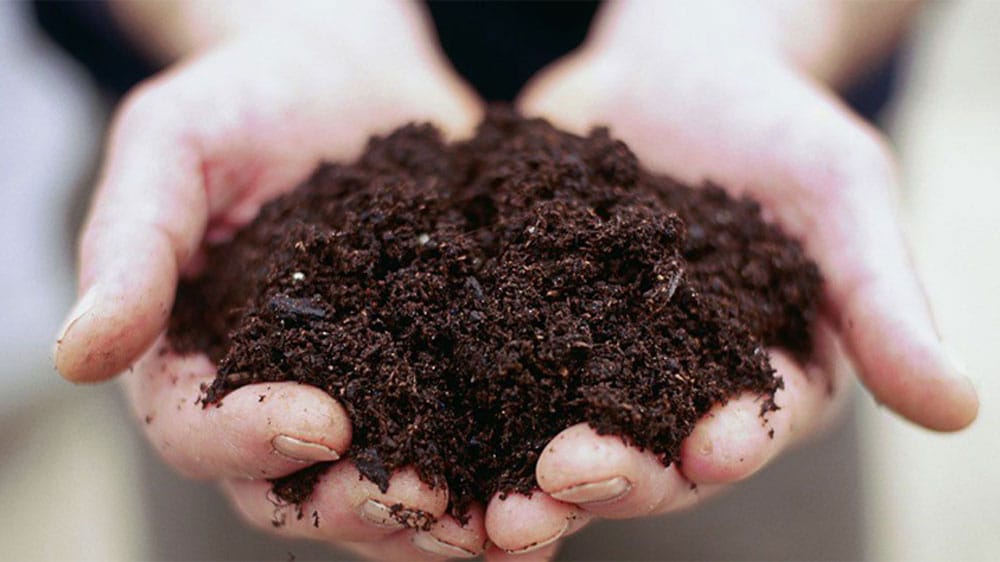 ಮಣ್ಣಿನ ಅಧ್ಯಯನ