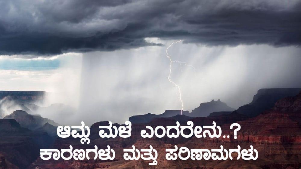 ಆಮ್ಲ ಮಳೆ ಎಂದರೇನು..? ಕಾರಣಗಳು ಮತ್ತು ಪರಿಣಾಮಗಳು