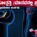 ಸಂತಾನೋತ್ಪತ್ತಿ (ಮಾನವನಲ್ಲಿ ಪ್ರಜನನ) : ನೆನಪಿನಲ್ಲಿಡಬೇಕಾದ ಅಂಶಗಳು