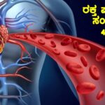 ರಕ್ತ ಪರಿಚಲನೆಗೆ ಸಂಬಂಧಿಸಿದ 45 ಪ್ರಮುಖ ಅಂಶಗಳು