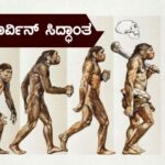 ಡಾರ್ವಿನ್ ಸಿದ್ಧಾಂತ