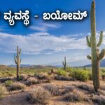 ಪರಿಸರ ವ್ಯವಸ್ಥೆ – ಬಯೋಮ್