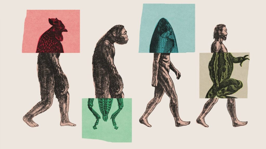 ಜೀವದ ಉಗಮ ಮತ್ತು ವಿಕಾಸ