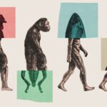 ಜೀವದ ಉಗಮ ಮತ್ತು ವಿಕಾಸ