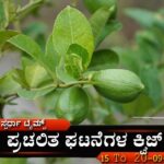 Current Affairs Quiz-15to20-02-2024