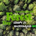 International Day of Forests