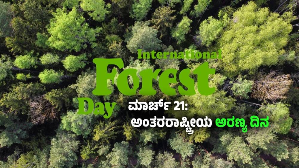 International Day of Forests