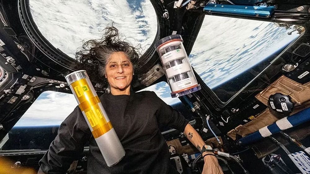 Sunita Williams