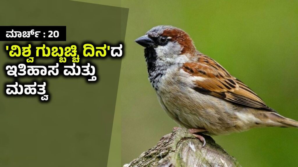 World Sparrow Day