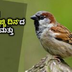 World Sparrow Day