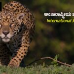 International Jaguar Day