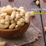 National Cashew Day