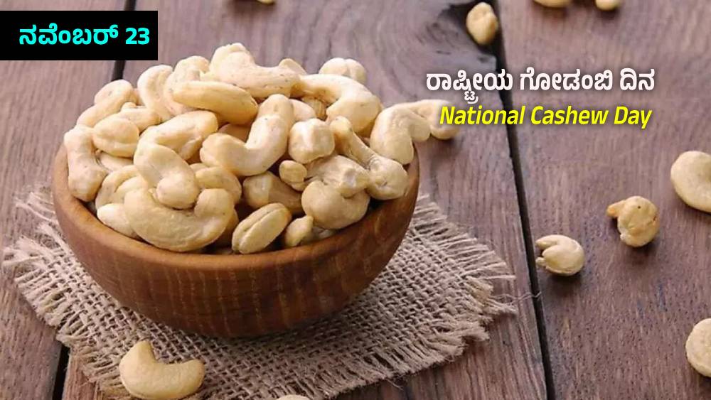 National Cashew Day