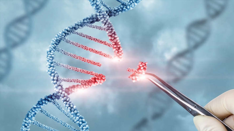 ITVISMA Gene Therapy