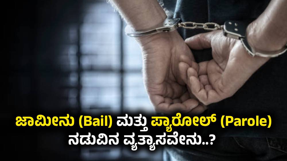 difference between Bail and Parole